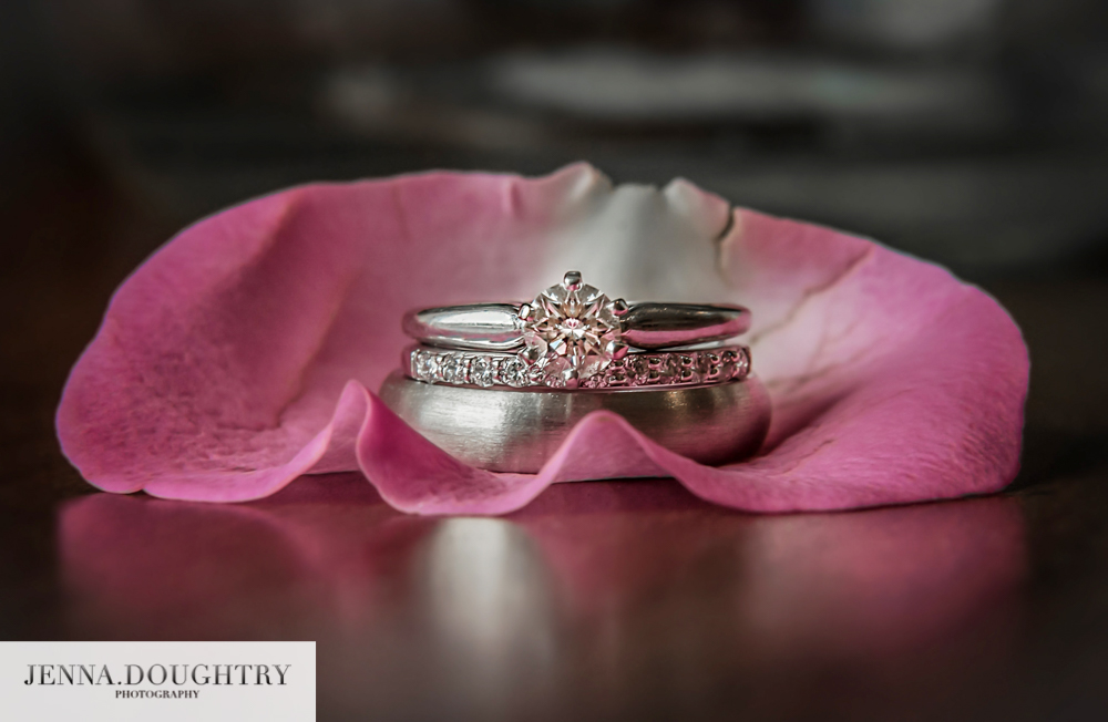 Maine Wedding Photographer rings and rose petal