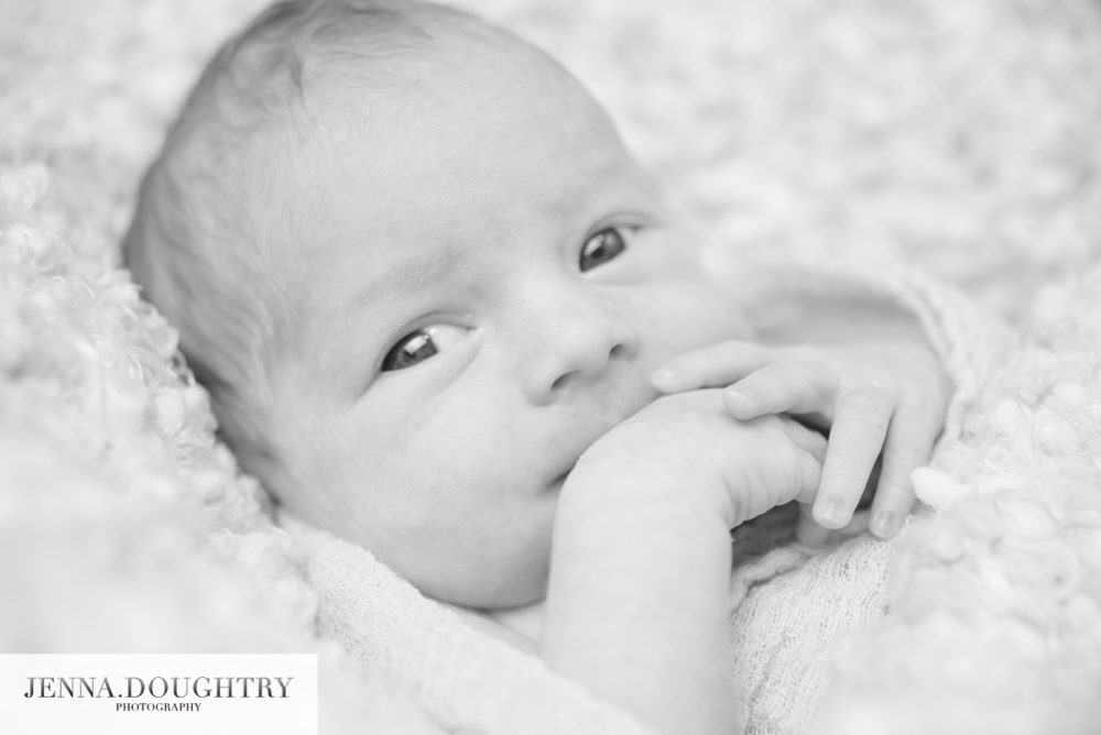 Newborn photographer black and white Madelyn